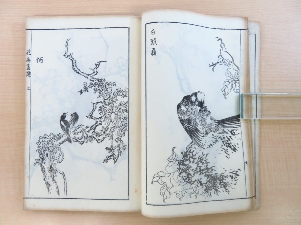 Amazon.co.jp: 宋紫石『南画宋紫石花鳥画譜』（全3冊揃）松山堂書店刊
